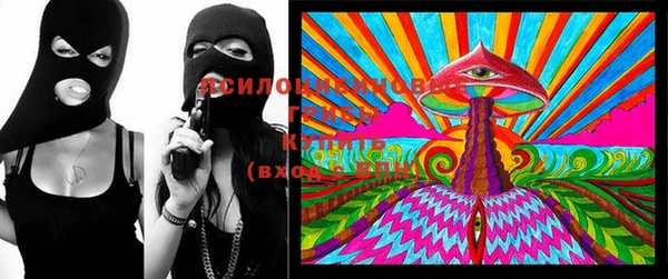 ГАЛЛЮЦИНОГЕННЫЕ ГРИБЫ Арсеньев
